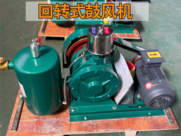 回轉(zhuǎn)式風(fēng)機(jī)與羅茨風(fēng)機(jī)在性能上有哪些差異？